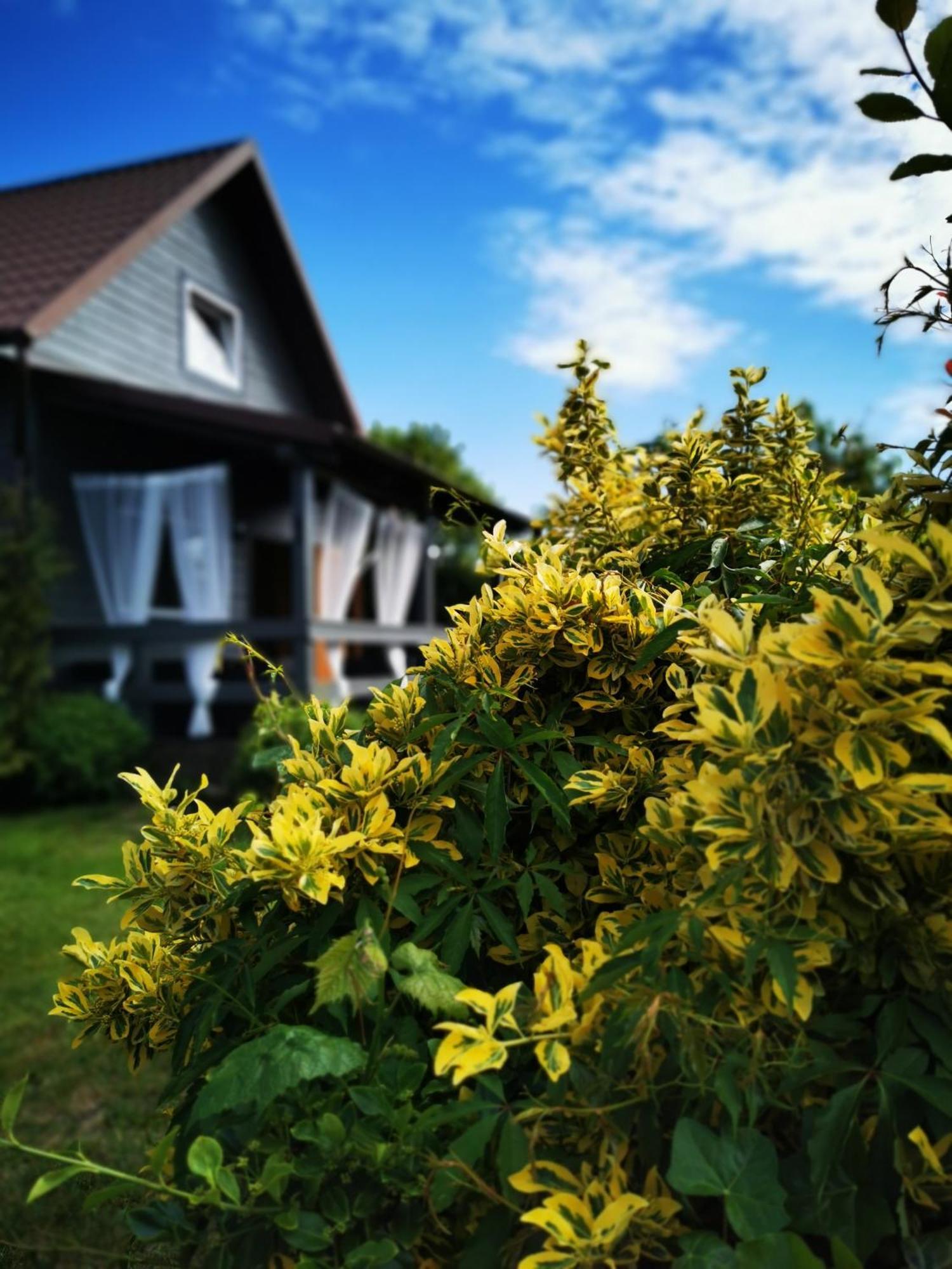 Stilove Wydmy Sasino Kamer foto