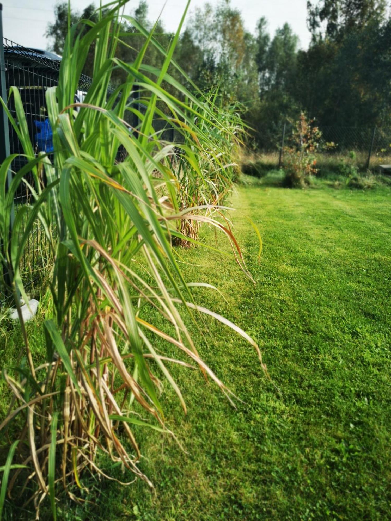 Stilove Wydmy Sasino Kamer foto