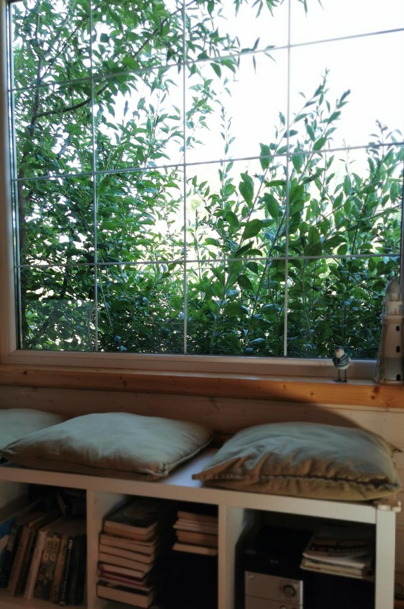 Stilove Wydmy Sasino Kamer foto