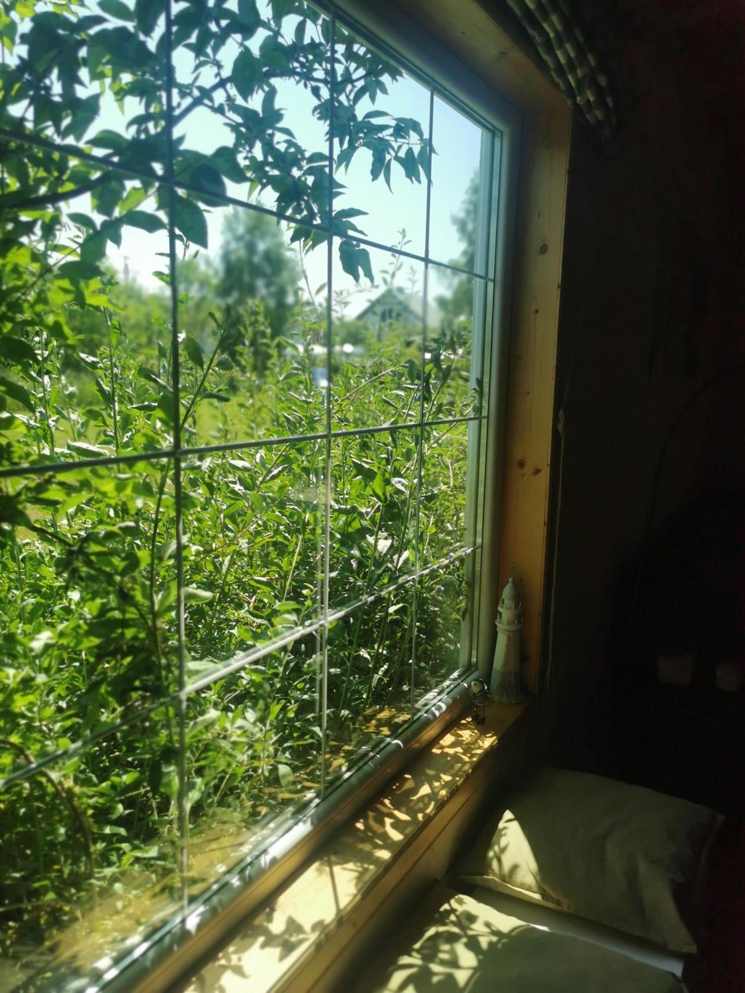 Stilove Wydmy Sasino Kamer foto