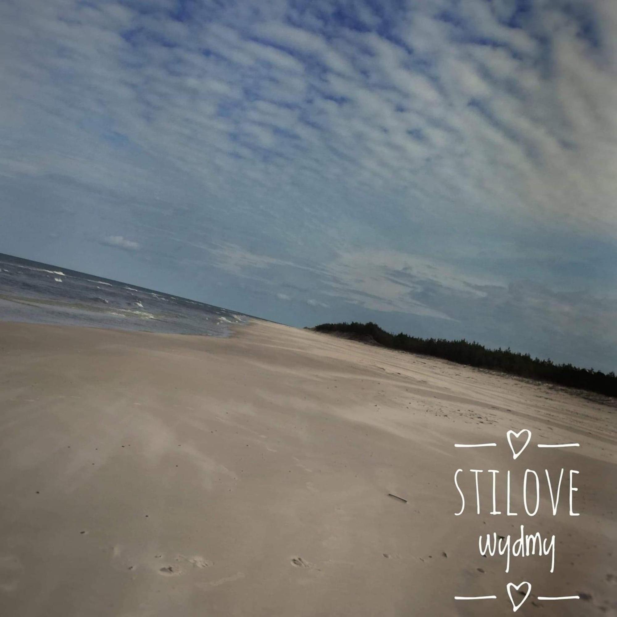Stilove Wydmy Sasino Buitenkant foto